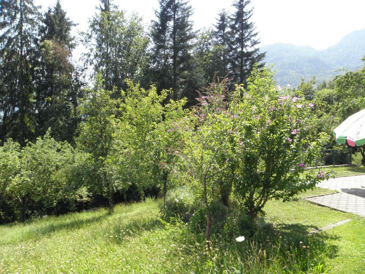 Ferienhaus-Loidl Bad Ischl Extérieur photo